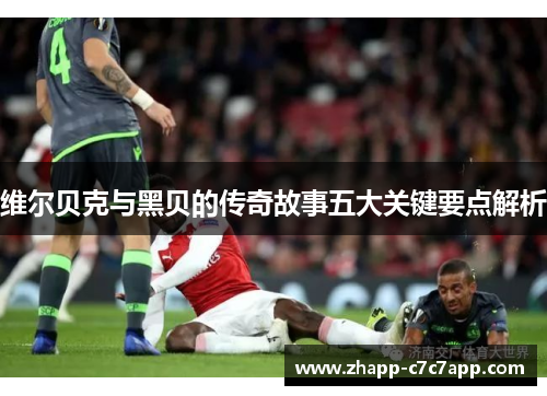 维尔贝克与黑贝的传奇故事五大关键要点解析